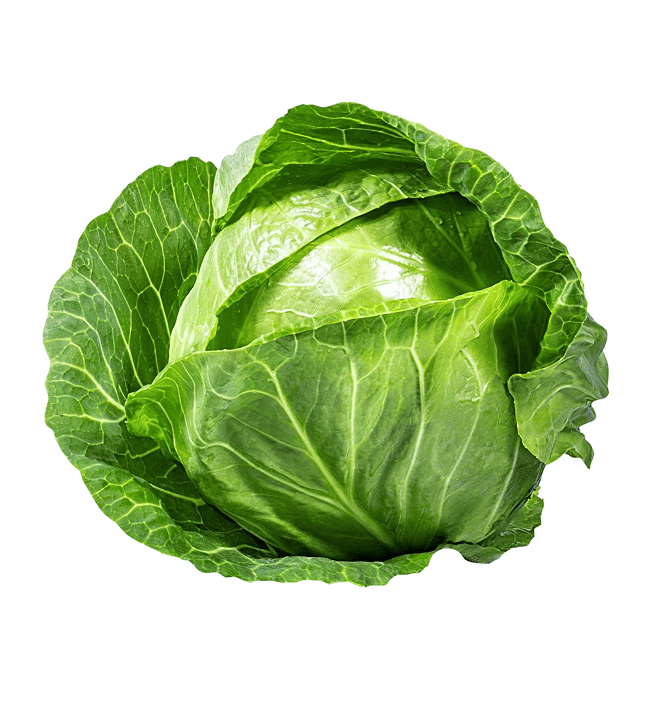 Green Cabbage — Dense, Crunchy & Locally Grown