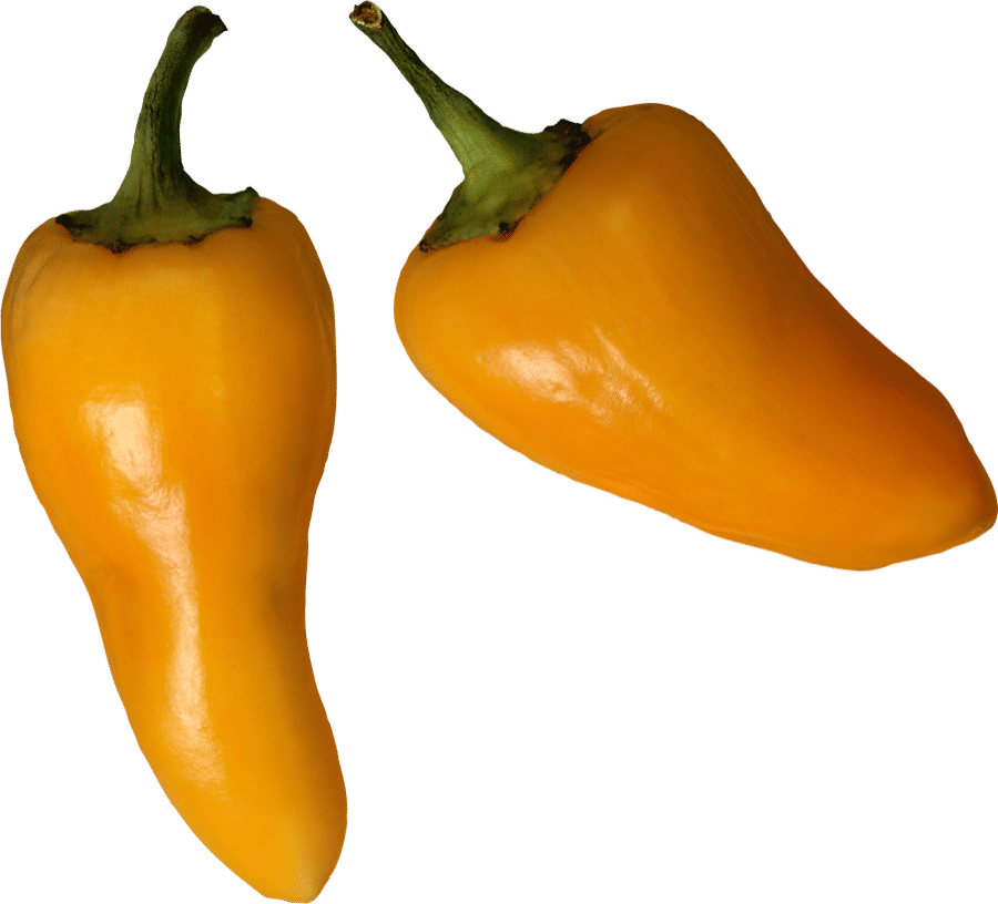 Mixed Bell Peppers — Red, Yellow & Green