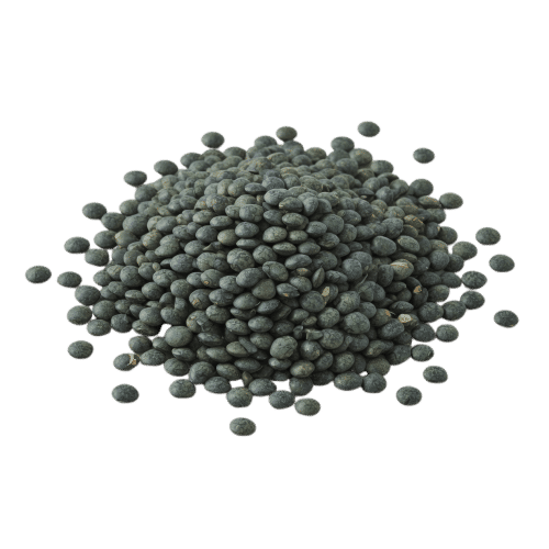 Puy Lentils — Small, Peppery & Hold Their Shape