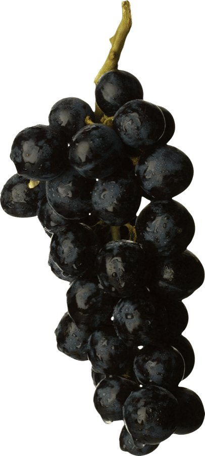 Red Seedless Grapes — Crisp, Juicy & Cold-Stored