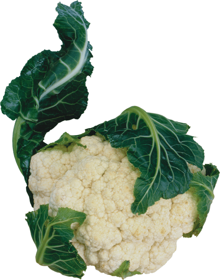 Snow Cauliflower — Tight Curds, Fresh Cut