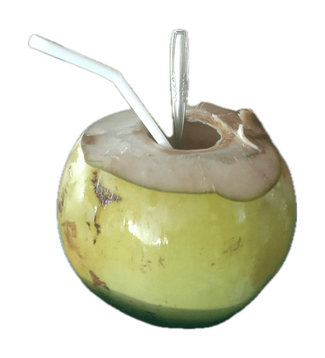 Young Drinking Coconut — Tender Flesh, Straw Included