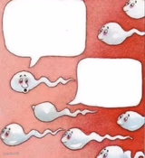 2 sperm talking