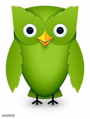 2012 Duolingo Owl - meme generator image preview