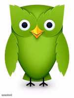 2012 Duolingo Owl