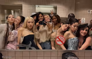2026 Met Gala Bathroom Selfie