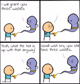 3 Wishes