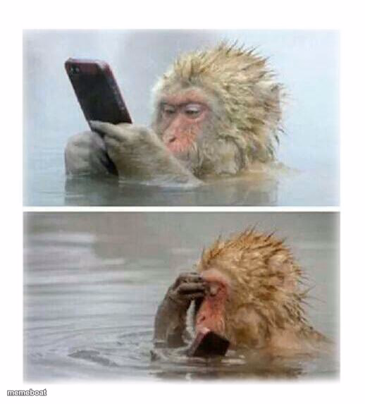 4 seconds after sending that risky text - Monkey - meme generator image preview