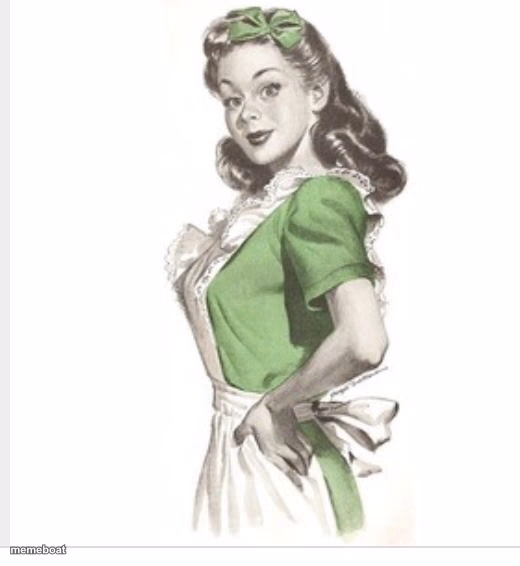 50's housewife - meme generator image preview