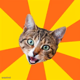 Bad Advice Cat