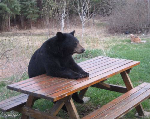 Bad Luck Bear - meme generator image preview