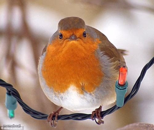Bah Humbug - meme generator image preview