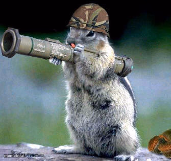 Bazooka Squirrel - meme generator image preview