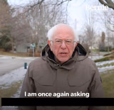 Bernie