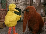 Big Bird And Snuffy