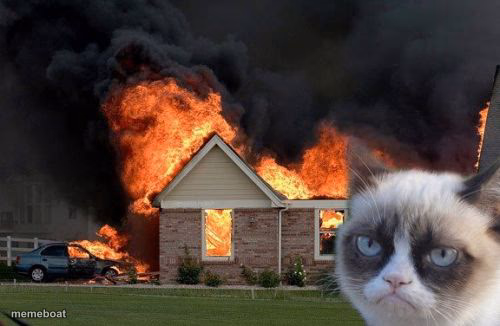 Burn Kitty - meme generator image preview