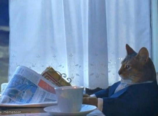 Cat newspaper - meme generator image preview