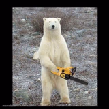 Chainsaw Bear