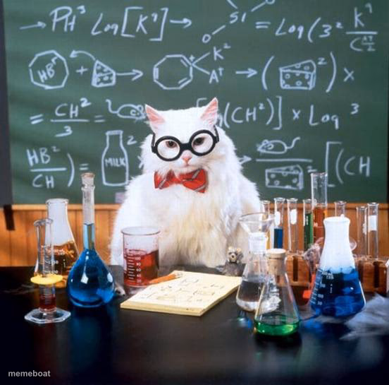 Chemistry Cat - meme generator image preview