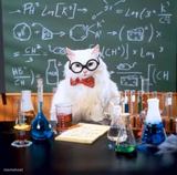 Chemistry Cat
