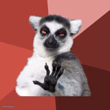 Side-Eyeing Lemur