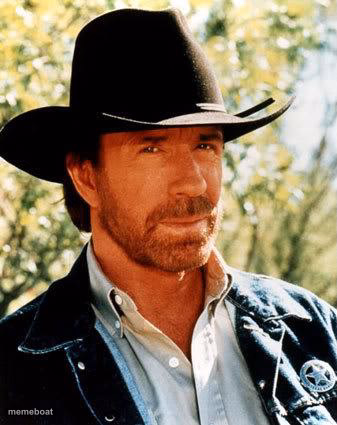 Chuck Norris - meme generator image preview
