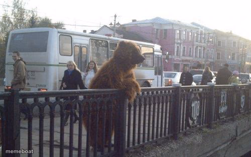 City Bear - meme generator image preview