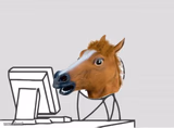Horse Mask Computer Guy
