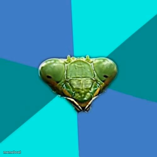 Crazy Girlfriend Praying Mantis - meme generator image preview