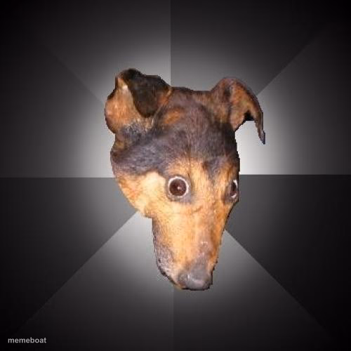 Depression Dog - meme generator image preview