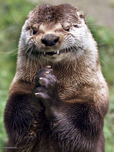 Evil Otter - meme generator image preview