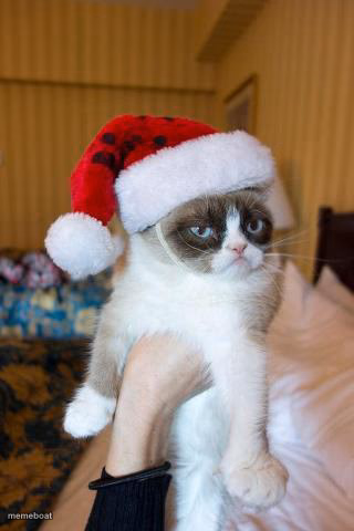 Grumpy Cat Christmas - meme generator image preview