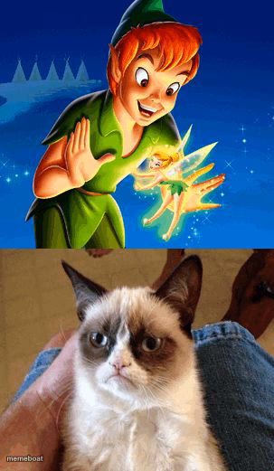 Grumpy Cat Does Not Believe - meme generator image preview