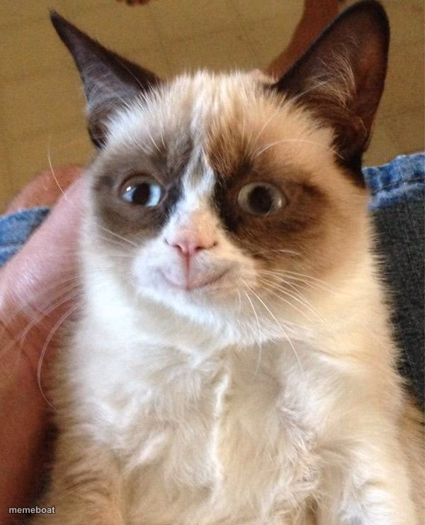 Grumpy Cat Happy - meme generator image preview