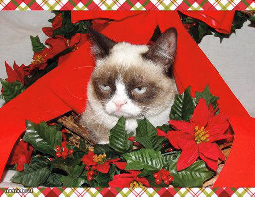Grumpy Cat Mistletoe - meme generator image preview