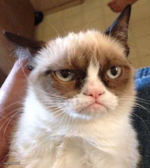 Grumpy Cat Reverse - meme generator image preview