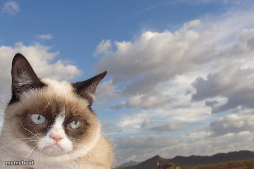 Grumpy Cat Sky - meme generator image preview