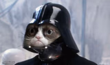 Grumpy Cat Star Wars