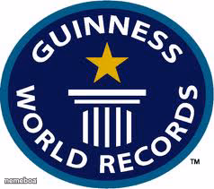 Guinness World Record - meme generator image preview