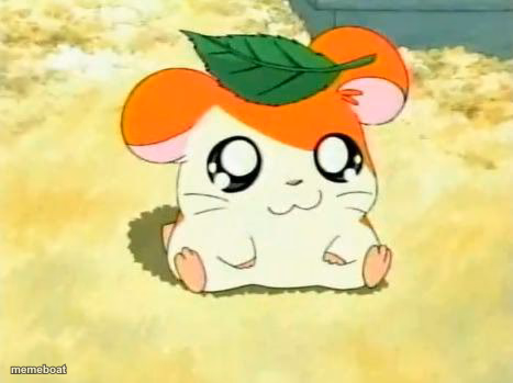 Hamtaro - meme generator image preview