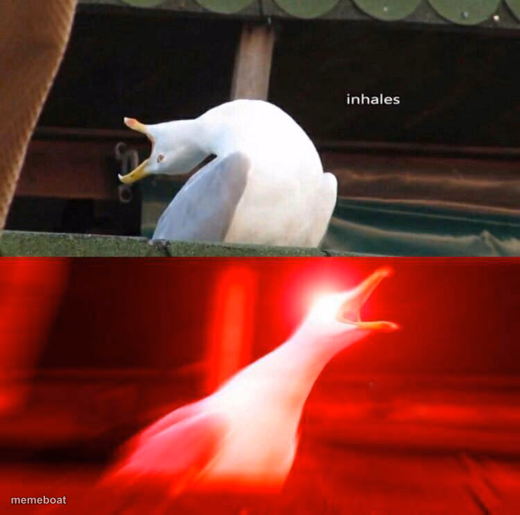 Inhaling Seagull - meme generator image preview