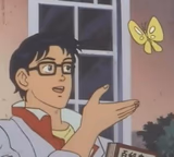 Is This A Pigeon