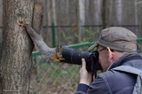 Jehovas Witness Squirrel