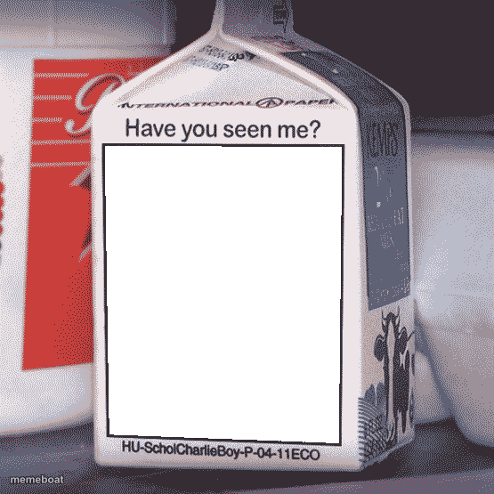 Missing Person - meme generator image preview
