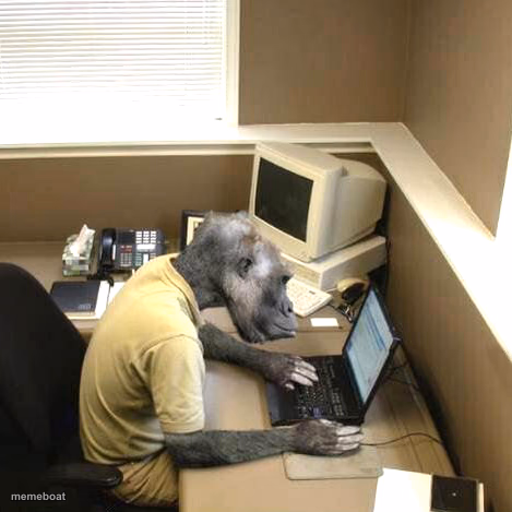 Monkey Business - meme generator image preview