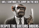 Monke