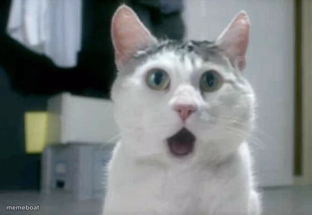 OMG Cat - meme generator image preview
