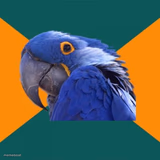 Paranoid Parrot