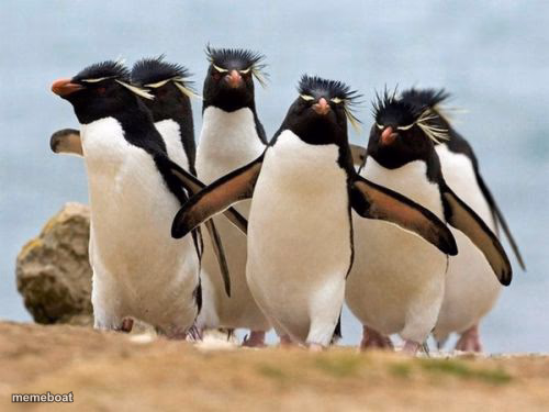 Marching Penguins - meme generator image preview