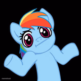Pony Shrugs